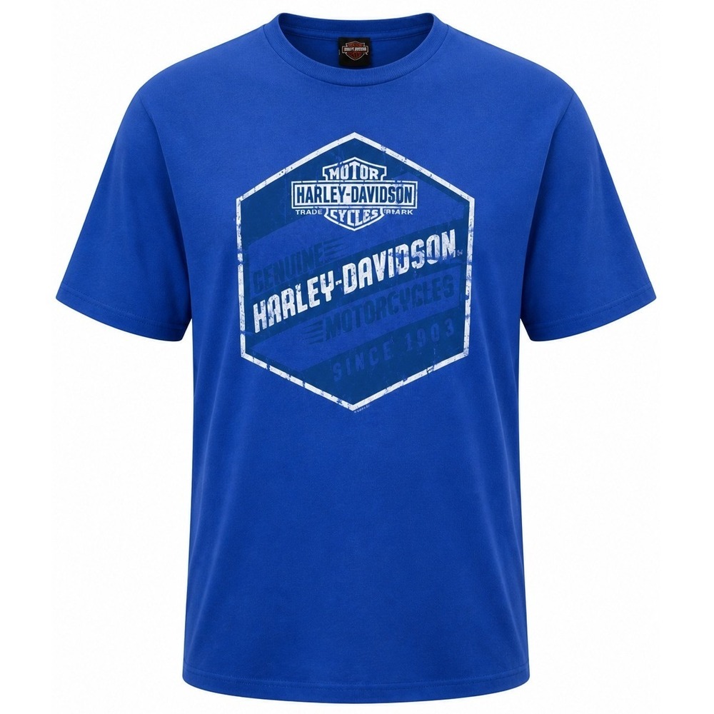 Harley-Davidson T-Shirt Men's 2XL Waco Texas Graphic Short Sleeve Regular 2000s